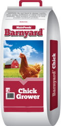 Chick Grower for Layer Hens